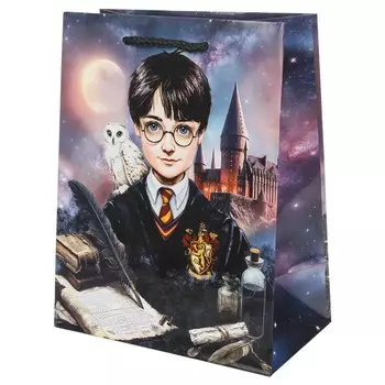 Подарочный пакет ЧУДО ПРАЗДНИК PM-130551-HP