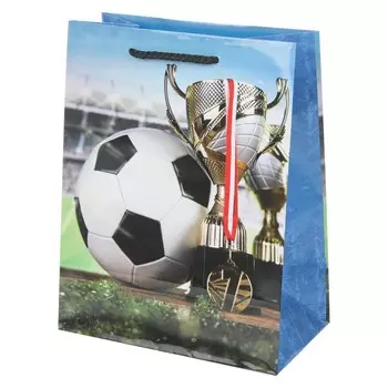 Подарочный пакет ЧУДО ПРАЗДНИК PM-131196-FB