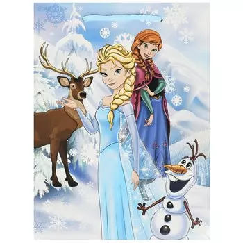 Подарочный пакет ЧУДО ПРАЗДНИК PM-84305-FRZ