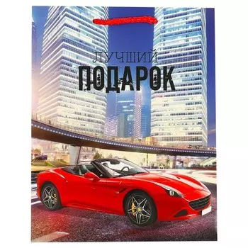 Подарочный пакет ЧУДО ПРАЗДНИК PM-97433-SC