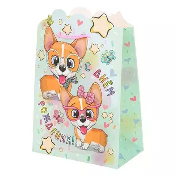 Подарочный пакет ЧУДО ПРАЗДНИК PMF-114606-C