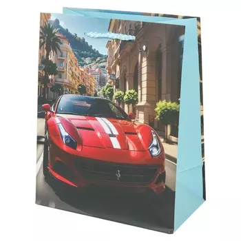 Подарочный пакет ЧУДО ПРАЗДНИК PML113361-F