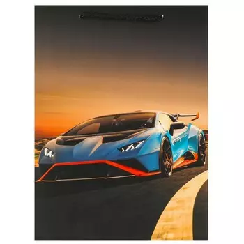 Подарочный пакет ЧУДО ПРАЗДНИК PML-102344-LG