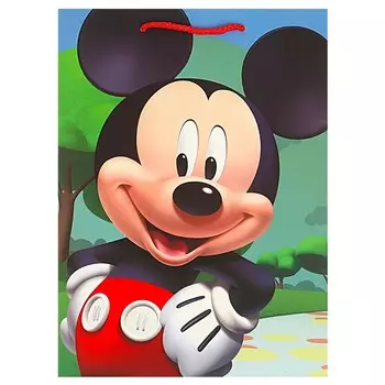 Подарочный пакет ЧУДО ПРАЗДНИК PML-102386-MK