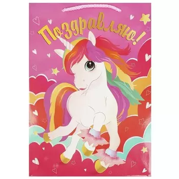 Подарочный пакет ЧУДО ПРАЗДНИК PML-102387-TM