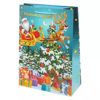 Подарочный пакет ЧУДО ПРАЗДНИК PML-102390-NG3