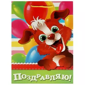 Подарочный пакет ЧУДО ПРАЗДНИК PML-102959-PZDR