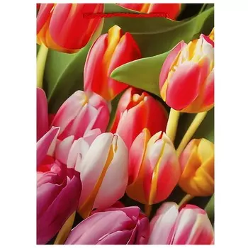 Подарочный пакет ЧУДО ПРАЗДНИК PML-104463-FLWR1