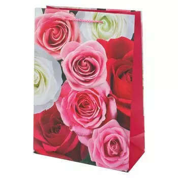 Подарочный пакет ЧУДО ПРАЗДНИК PML-104467-FLWR