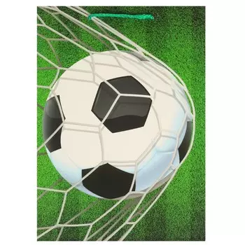 Подарочный пакет ЧУДО ПРАЗДНИК PML-107419-FB