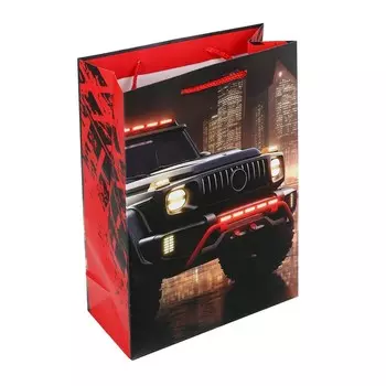 Подарочный пакет ЧУДО ПРАЗДНИК PML-107497-A