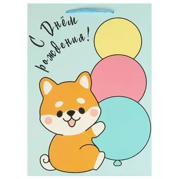 Подарочный пакет ЧУДО ПРАЗДНИК PML-108855-C2HB