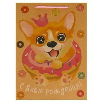 Подарочный пакет ЧУДО ПРАЗДНИК PML-109953-KK