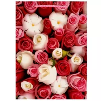 Подарочный пакет ЧУДО ПРАЗДНИК PML-110087-R