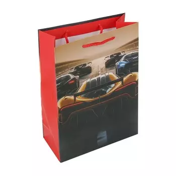 Подарочный пакет ЧУДО ПРАЗДНИК PML-113362-B