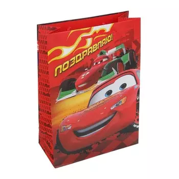 Подарочный пакет ЧУДО ПРАЗДНИК PML-122053-C