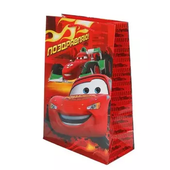 Подарочный пакет ЧУДО ПРАЗДНИК PML-123408-C2