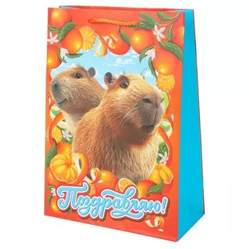 Подарочный пакет ЧУДО ПРАЗДНИК PML-128833-KA