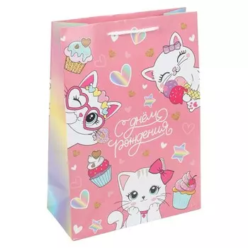 Подарочный пакет ЧУДО ПРАЗДНИК PML-130120-CAT