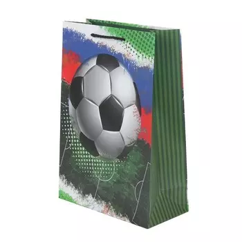 Подарочный пакет ЧУДО ПРАЗДНИК PML-130224-FB