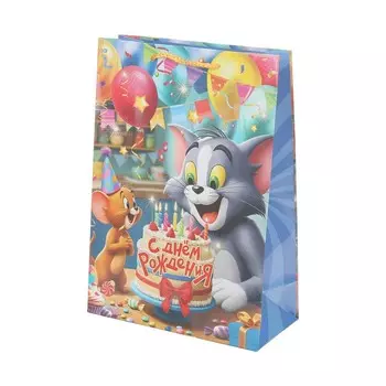 Подарочный пакет ЧУДО ПРАЗДНИК PML-130524-TJ