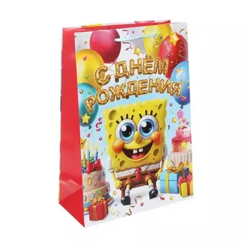 Подарочный пакет ЧУДО ПРАЗДНИК PML-130528-SB