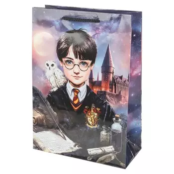 Подарочный пакет ЧУДО ПРАЗДНИК PML-130552-HP