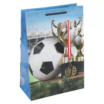 Подарочный пакет ЧУДО ПРАЗДНИК PML-131197-FB