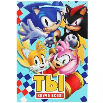 Подарочный пакет ЧУДО ПРАЗДНИК PML-92476-SN