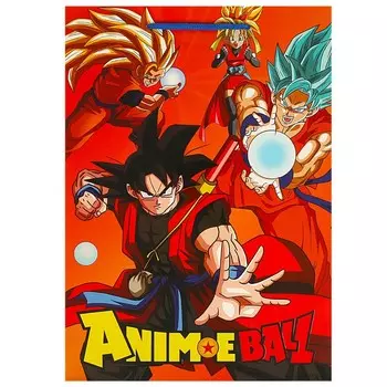 Подарочный пакет ЧУДО ПРАЗДНИК PML-94984-DR