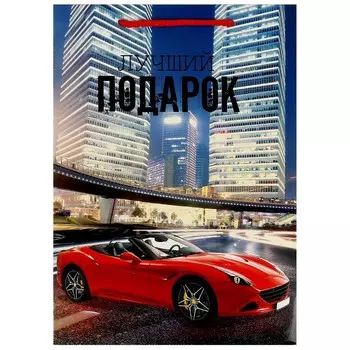 Подарочный пакет ЧУДО ПРАЗДНИК PML-97434-SC