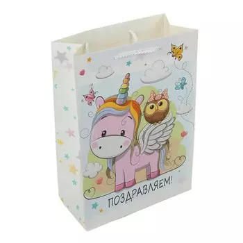 Подарочный пакет ЧУДО ПРАЗДНИК PMLWK-114652-CH