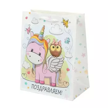 Подарочный пакет ЧУДО ПРАЗДНИК PMWK-114658-CH