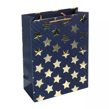 Подарочный пакет ЧУДО ПРАЗДНИК PTL-09-S3