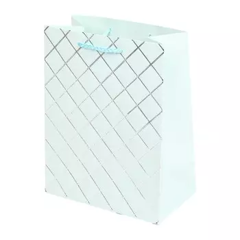 Подарочный пакет ЧУДО ПРАЗДНИК PTM-11-G2