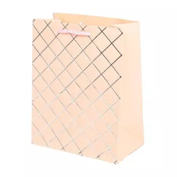 Подарочный пакет ЧУДО ПРАЗДНИК PTM-12-G3