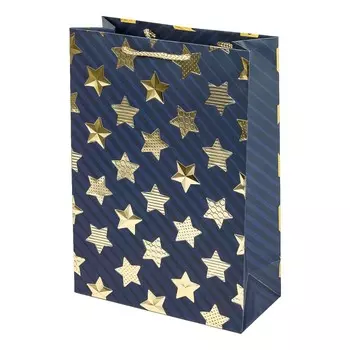 Подарочный пакет ЧУДО ПРАЗДНИК PTML-09-S3