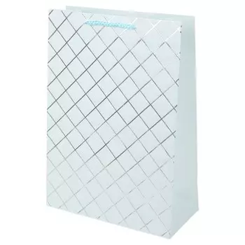 Подарочный пакет ЧУДО ПРАЗДНИК PTML-11-G2