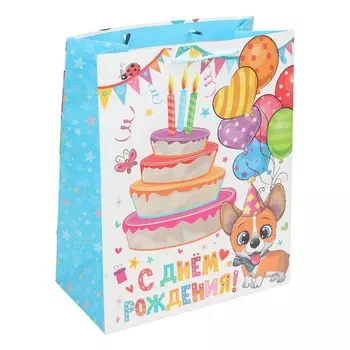 Подарочный пакет ЧУДО ПРАЗДНИК PWL-118365-HB