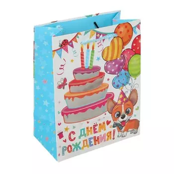 Подарочный пакет ЧУДО ПРАЗДНИК PWM-118364-HB