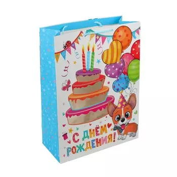 Подарочный пакет ЧУДО ПРАЗДНИК PWXL-118366-HB