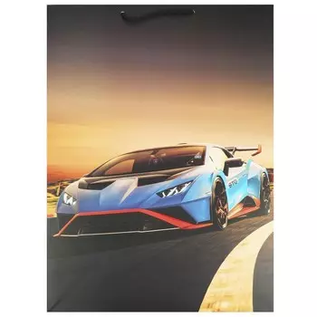 Подарочный пакет ЧУДО ПРАЗДНИК PXL-102350-LG