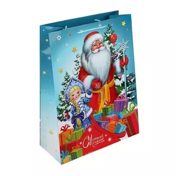 Подарочный пакет ЧУДО ПРАЗДНИК PXL-102396-NG1