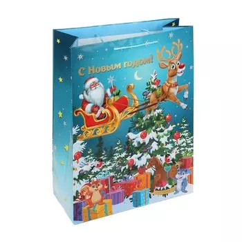 Подарочный пакет ЧУДО ПРАЗДНИК PXL-102398-NG3