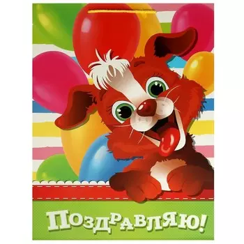 Подарочный пакет ЧУДО ПРАЗДНИК PXL-102961-PZDR