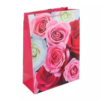 Подарочный пакет ЧУДО ПРАЗДНИК PXL-104472-FLWR