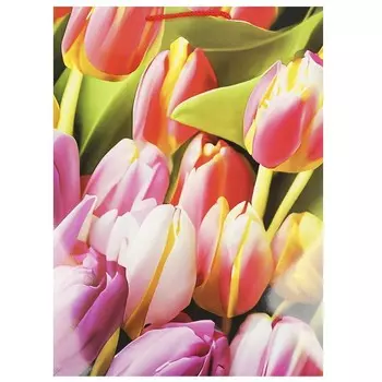 Подарочный пакет ЧУДО ПРАЗДНИК PXL-104473-FLWR1