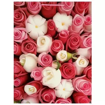 Подарочный пакет ЧУДО ПРАЗДНИК PXL-110088-R