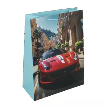 Подарочный пакет ЧУДО ПРАЗДНИК PXL-113364-F