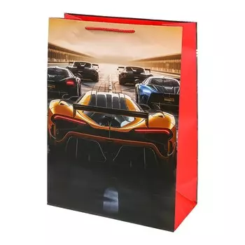 Подарочный пакет ЧУДО ПРАЗДНИК PXL-113365-B